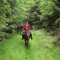 Wanderreiten