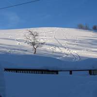 Wintererlebnis
