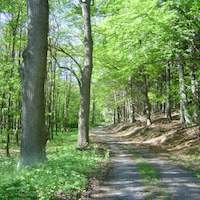 Wandern & Radfahren