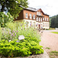 Erlebnis Kräuterwandern
