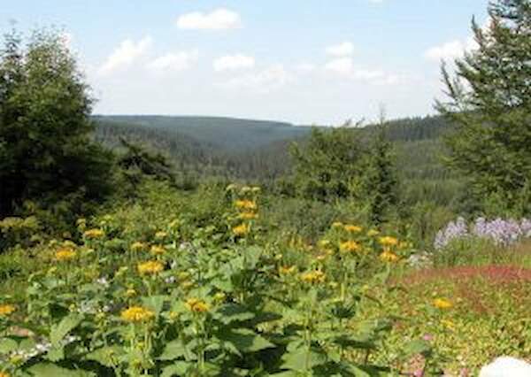 Botanischer Garten Schellerhau