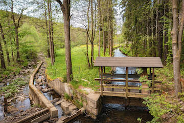 Wilde Weißeritz mit Fischtreppe und Einlauf zum Mühlgraben