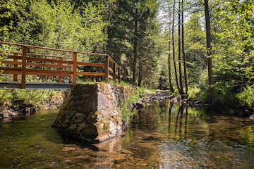 Auslauf im unteren Verlauf der Wilden Weißeritz